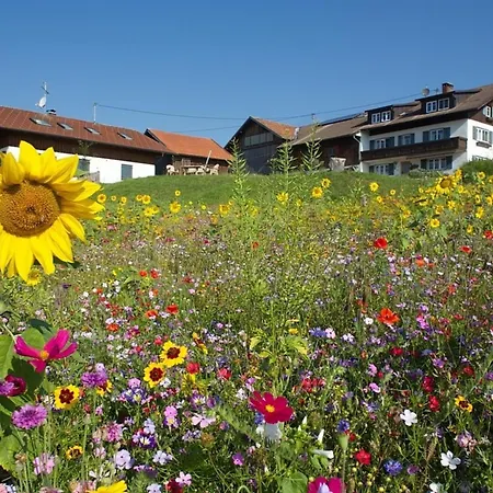 Seeblick Mit Zusaetzl Doppelzimmer, Hof Alpenseeblick, Nesselwangattleseeallgaeu Apartment